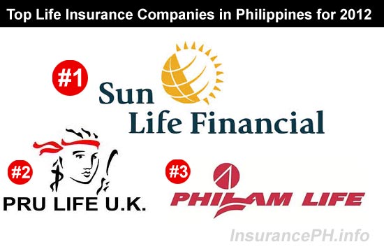 Forex insurance company